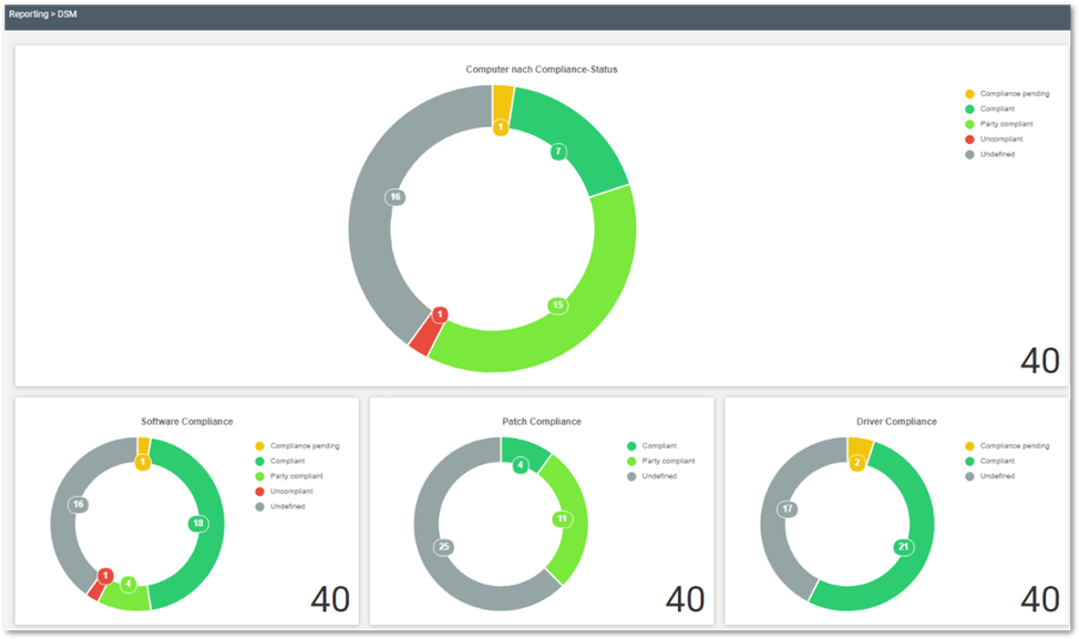 DSM Patch Management Report_DSM Übersicht_SMC